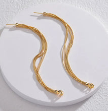 Load image into Gallery viewer, 18k gold plated Golden Tassel stainless steel earrings IDW
